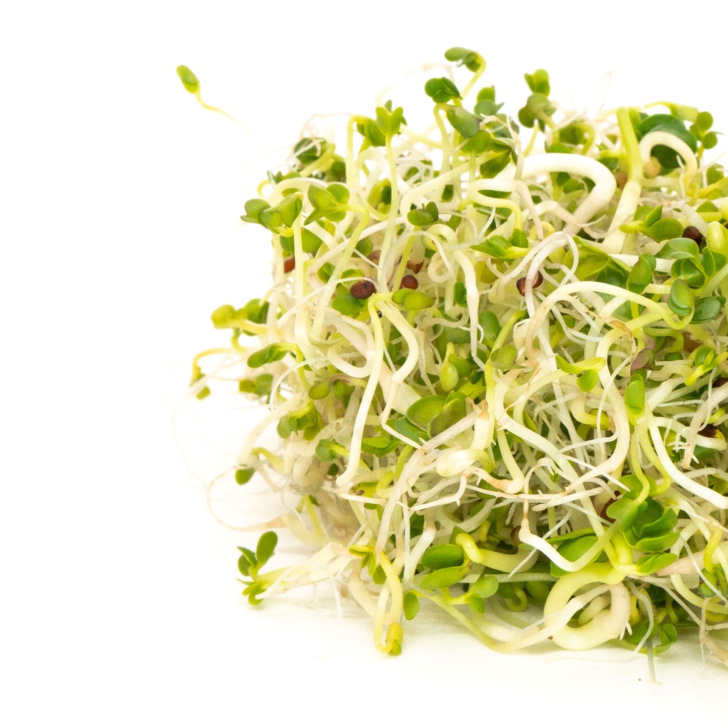 Broccoli Brassica Blend 150 G