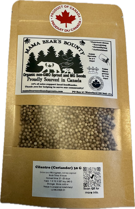 Cilantro (Coriander) 30 G