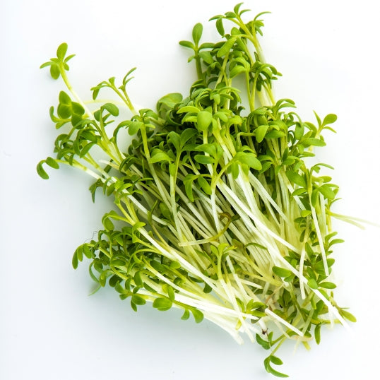 Cress, Curly/Garden 150 G