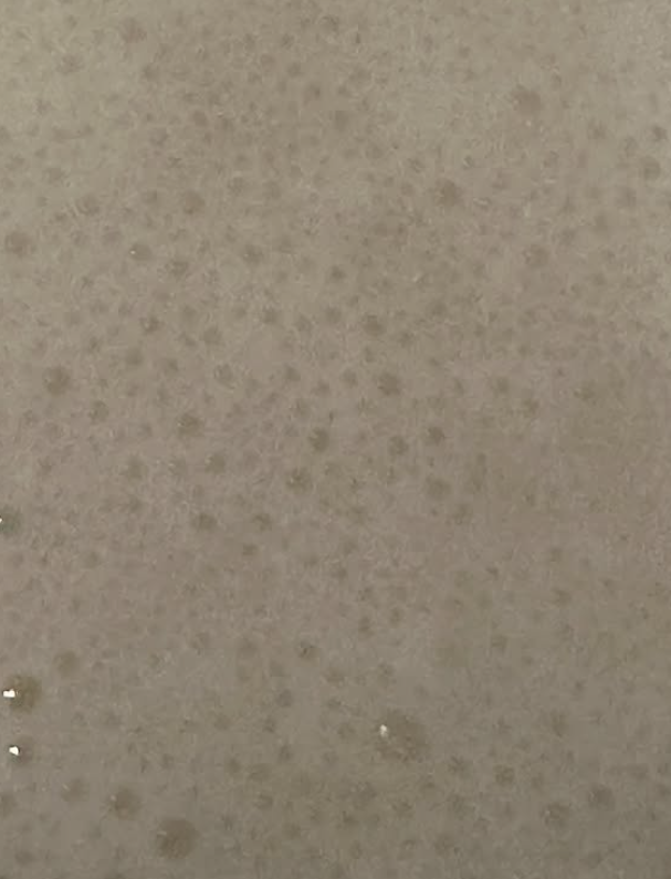 Sour Dough Starter 8 oz