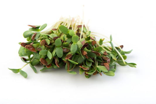 Flax, Brown 150 G/300 G