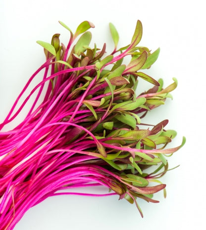 Beets, Ruby 75 G