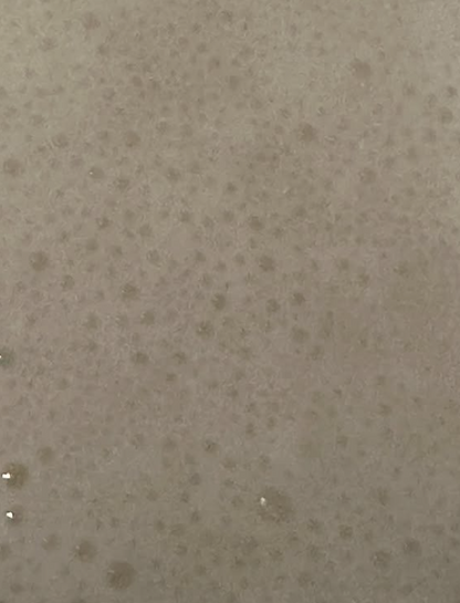 Sour Dough Starter 8 oz
